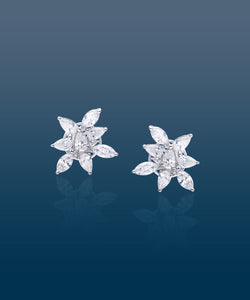 Diamonds Cluster Earrings